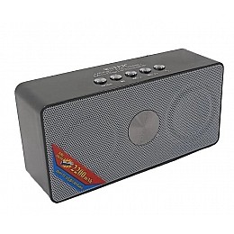 Портативна музична акумуляторна Bluetooth колонка з вбудованим радіо Wster WS-768 Silver