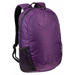 Легкий рюкзак для ноутбука 15,6 дюймов Vinel Фиолетовый (VL0101BPDP)