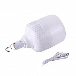 Лампа с аккумулятором аварийное освещение BALL BUBLLE Led USB 60 Вт Белый