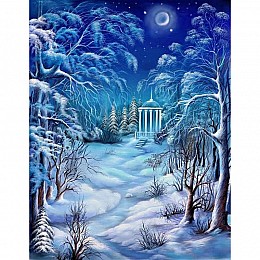 Алмазная мозаика Зимняя ночь DM-375 40 х 50см Полная зашивка