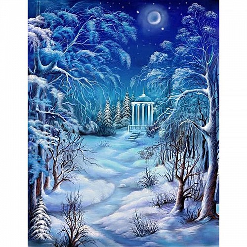 Алмазна мозаїка Зимова ніч DM-375 40 х 50см Повна зашивка