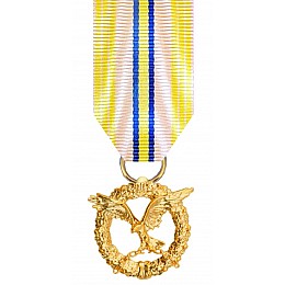 Медаль с удостоверением Collection За несокрушимость духа 34х40х2,5 мм Золотистый (hub_owcasf)