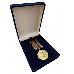 Медаль з посвідченням у футлярі Collection Доброволець АТО 100x32 мм Золотистий (hub_xveqzl)