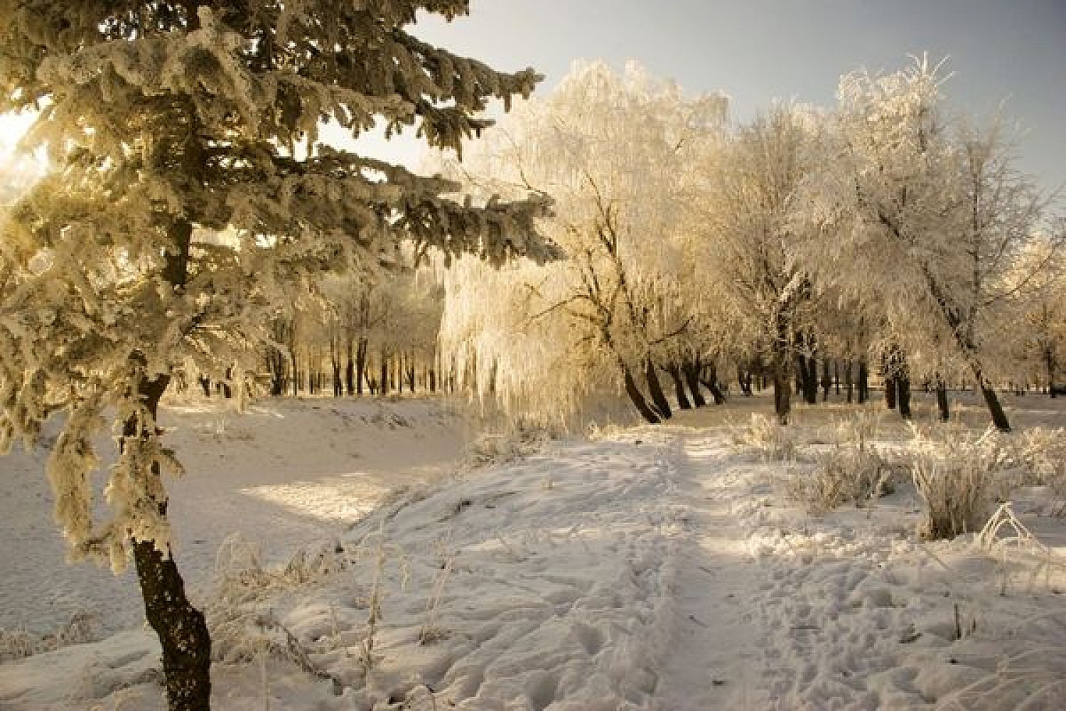 Народні прикмети лютого