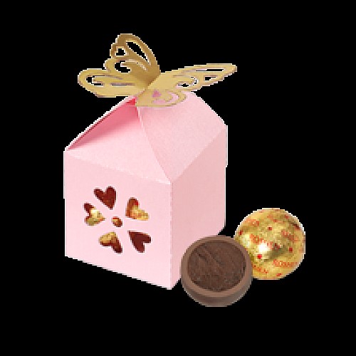 Сувенирный конфетный набор 'Flashlight butterfly'