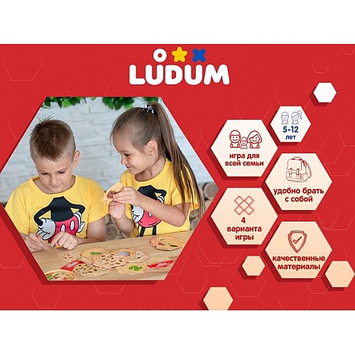 Настольная игра Ludum "Чудо в перьях" LG2045-07 русский язык
