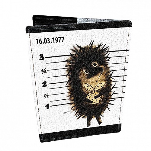 Обложка для паспорта кожаная DevayS Maker 01-01-143 Разноцветная