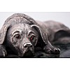 Срібна фігура ручної роботи Собака відпочиває сер00005 Онікс