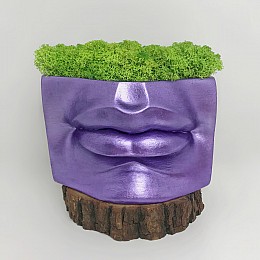 Гіпсове кашпо з стабілізованим мохом KoTs Губи Давида 16,5*16 см Фіолетовий