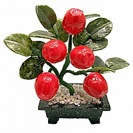 Яблуня Arjuna 5 плодів (44430)