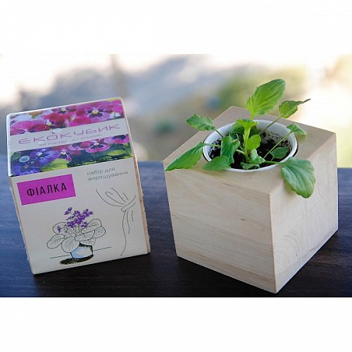 Экокуб фиалка набор для выращивания растений (ytrewq543228)