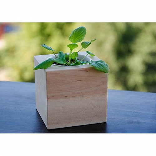 Экокуб фиалка набор для выращивания растений (ytrewq543228)