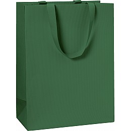 Пакет подарочный Stewo  25 х 13 х 33 cm темно-зеленый 10 шт