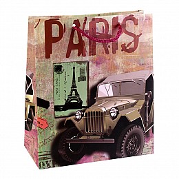 Сумочка подарункова паперова з ручками Gift bag Paris 21х18х8.5 см (19374)
