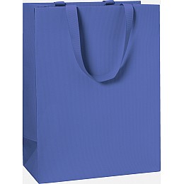 Пакет подарунковий Stewo 25 х 13 х 33 cm темно-синій 10 шт