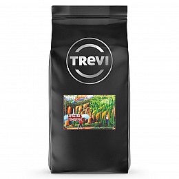 Кава в зернах Trevi Арабіка Гондурас 1 кг