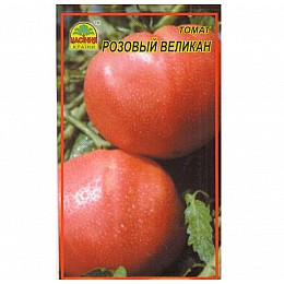 Семена томата Насіння країни Розовий велетень 30 шт.