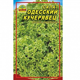 Семена Насіння країни салата Одесский кучерявец 10 г