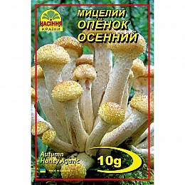 Мицелий грибів Насіння країни Опенок осінній 10 г