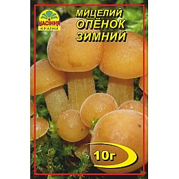 Мицелий грибов Насіння країни Опенок зимний 10 г