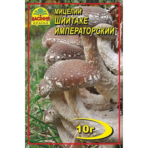 Мицелий грибів Насіння країни Шиїтаке імператорський 10 г