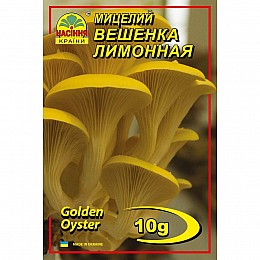 Мицелий грибов Насіння країни Вешенка лимонная 10 г