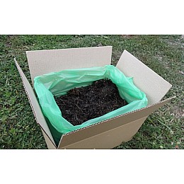Грибная коробка Белого шампиньона Готовый набор для выращивания грибов Семейный 30 х 30 см 5 кг (hub_ntgv91671)