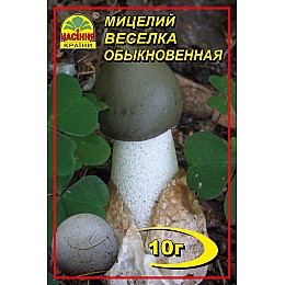 Міцелій грибів Насіння країни Веселка лікувальна 10 г