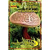 Міцелій грибів Насіння країни Моховик тріщиноватий пестрий 10 г
