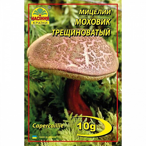 Міцелій грибів Насіння країни Моховик тріщиноватий пестрий 10 г