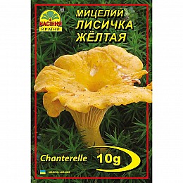 Мицелий грибов Насіння країни Лисичка желтая 10 г