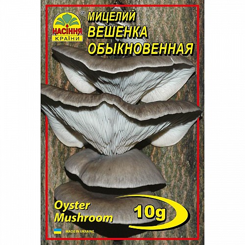 Міцелій грибів Насіння країни Вешенка звичайна 10 г