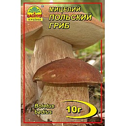 Міцелій грибів
Насіння країни
Польський гриб 10 г