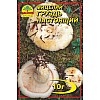 Мицелий грибов Насіння країни Груздь 10 г