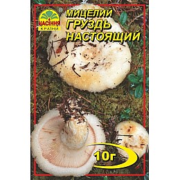 Мицелий грибів Насіння країни Груздь 10 г