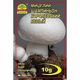 Мицелий грибов Насіння країни Шампиньон королевский белый 10 г