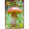 Мицелий грибов Насіння країни Масленок 10 г