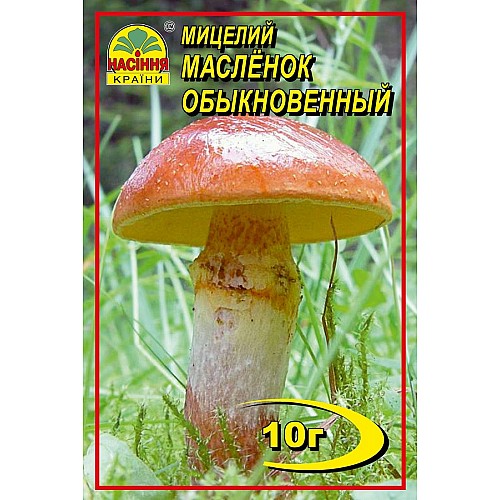 Мицелий грибів Насіння країни Масленок 10 г