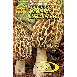 Мицелий грибов Насіння країни Сморчок конический 10 г