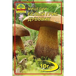 Мицелий грибов Насіння країни Белый гриб Дубовик 10 г