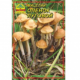 Міцелій грибів Насіння країни Опеньок луго́вий 10 г.