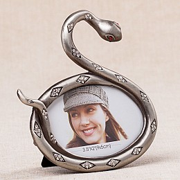 Декоративна фоторамка «Змія» 12*12 см Safebet SK18968