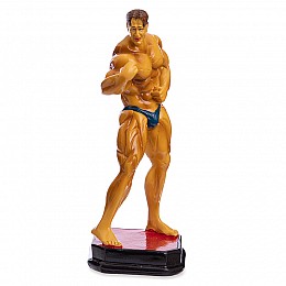 Статуетка нагородна спортивна Бодібілдінг Бодібілдер C-2244-A8 FDSO Золотий (33508255)