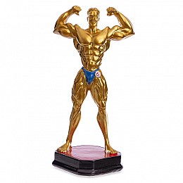 Статуетка нагородна спортивна Бодібілдінг Бодібілдер C-2245-A5 FDSO Золотий (33508256)