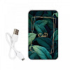 Повербанк (powerbank) Ziz "Сяй" 5000 mAh