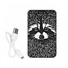 Повербанк (powerbank) Ziz "Єнот" 5000 mAh