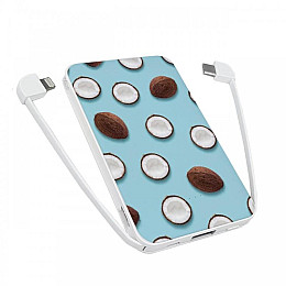 Повербанк (powerbank) Ziz "Кокоси" 5000 mAh