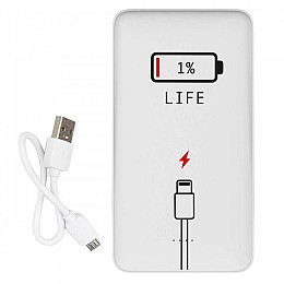 Повербанк (powerbank) Ziz 1% 10000 mAh