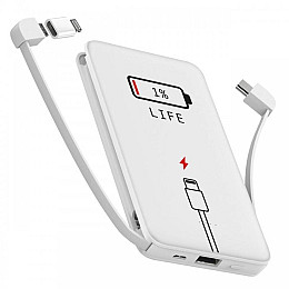 Повербанк (powerbank) Ziz 1% 10000 mAh