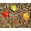 Стопер для дверей Autumn Qualy (жовтий)